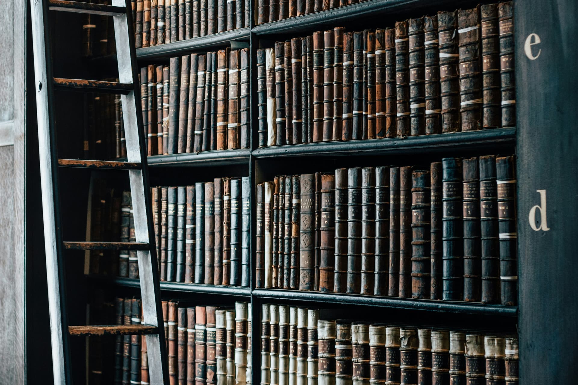 Real estate law and property dispute lawyer in Surrey